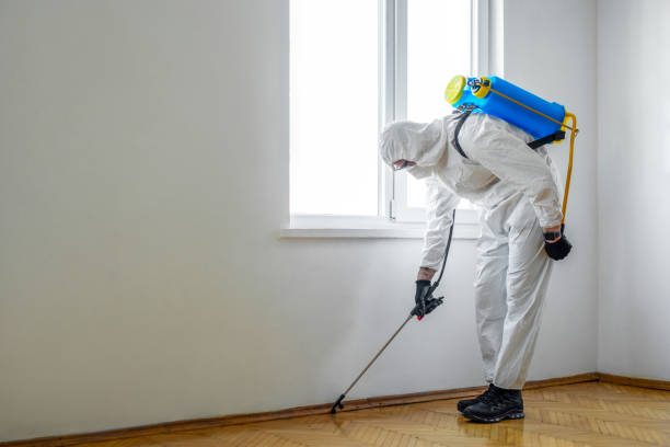 Best Flea Control Services  in Pilot Point, TX