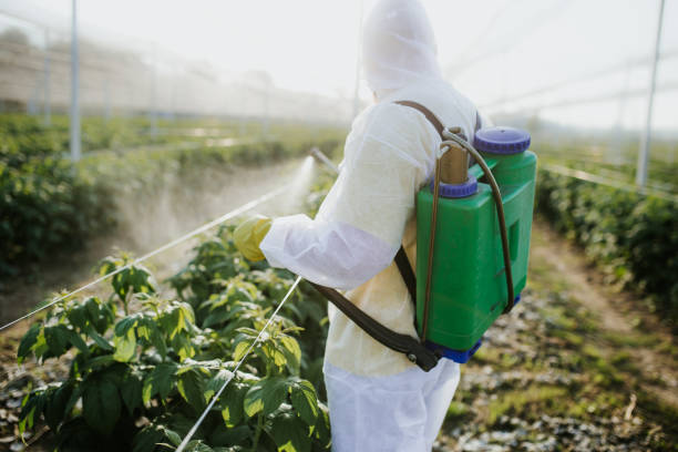Best Pest Prevention Services  in Pilot Point, TX